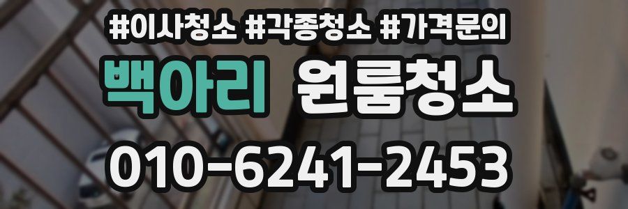 백아리 이사청소