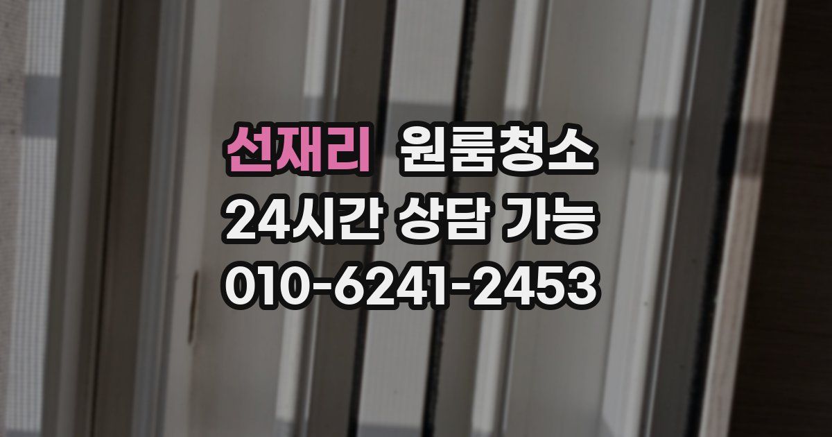 선재리 입주청소