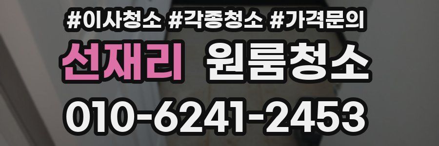 선재리 이사청소
