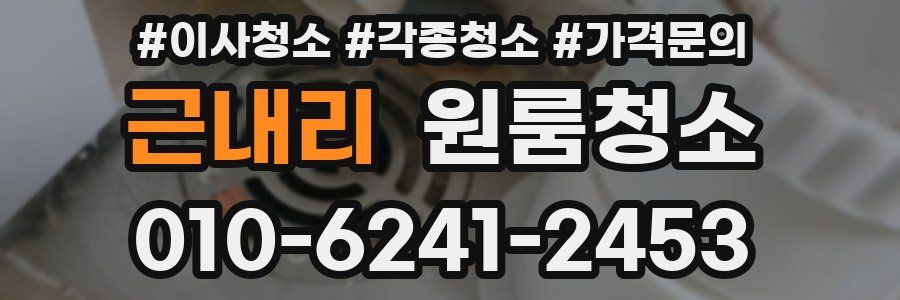 근내리 이사청소