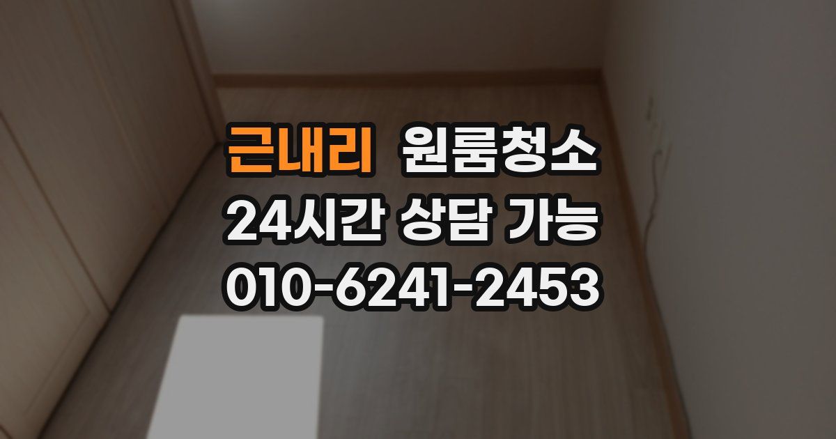 근내리 입주청소