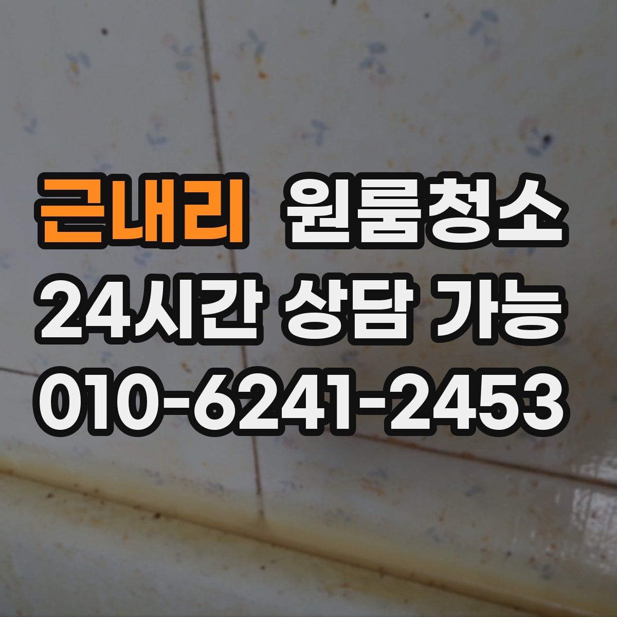 근내리 원룸청소