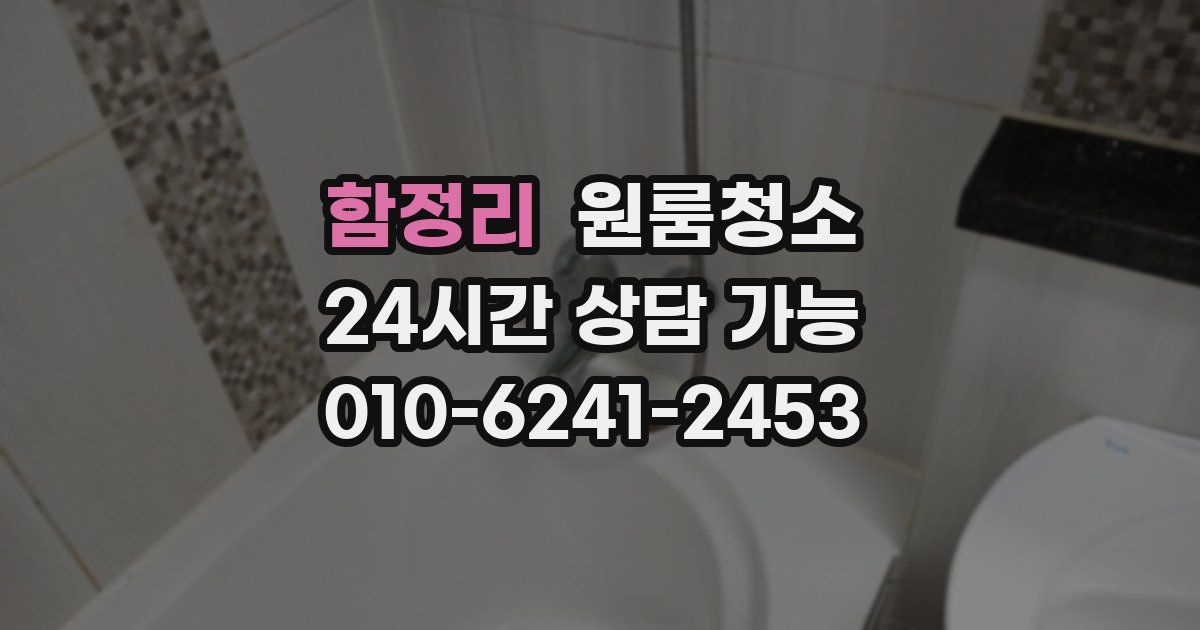 함정리 입주청소