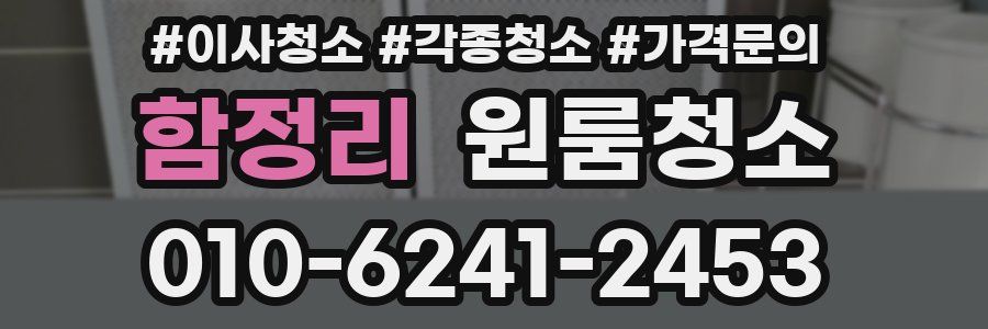 함정리 이사청소