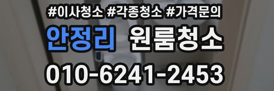 안정리 이사청소