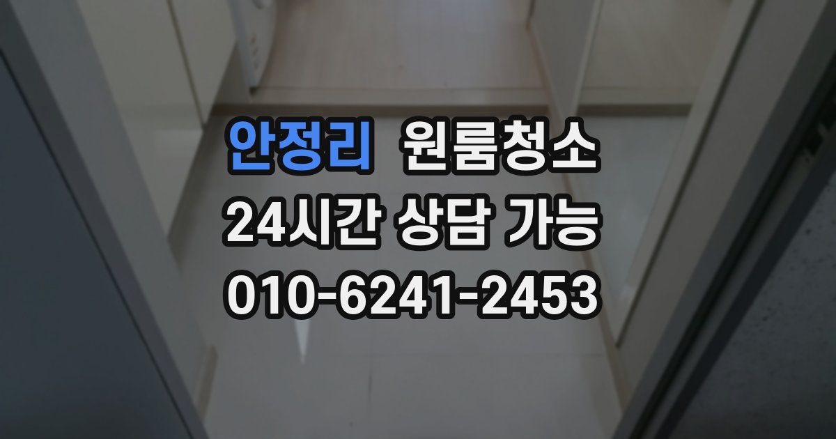 안정리 입주청소