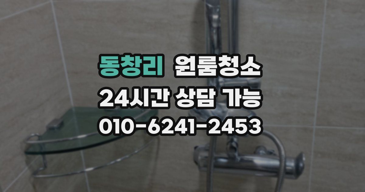 동창리 입주청소