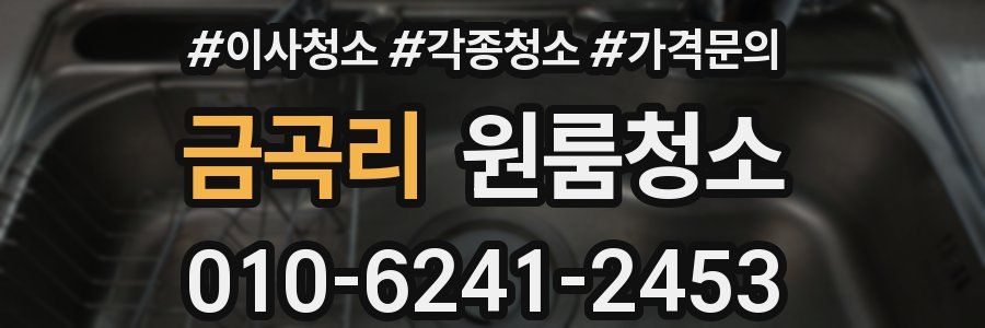 금곡리 이사청소