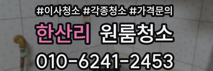 한산리 이사청소