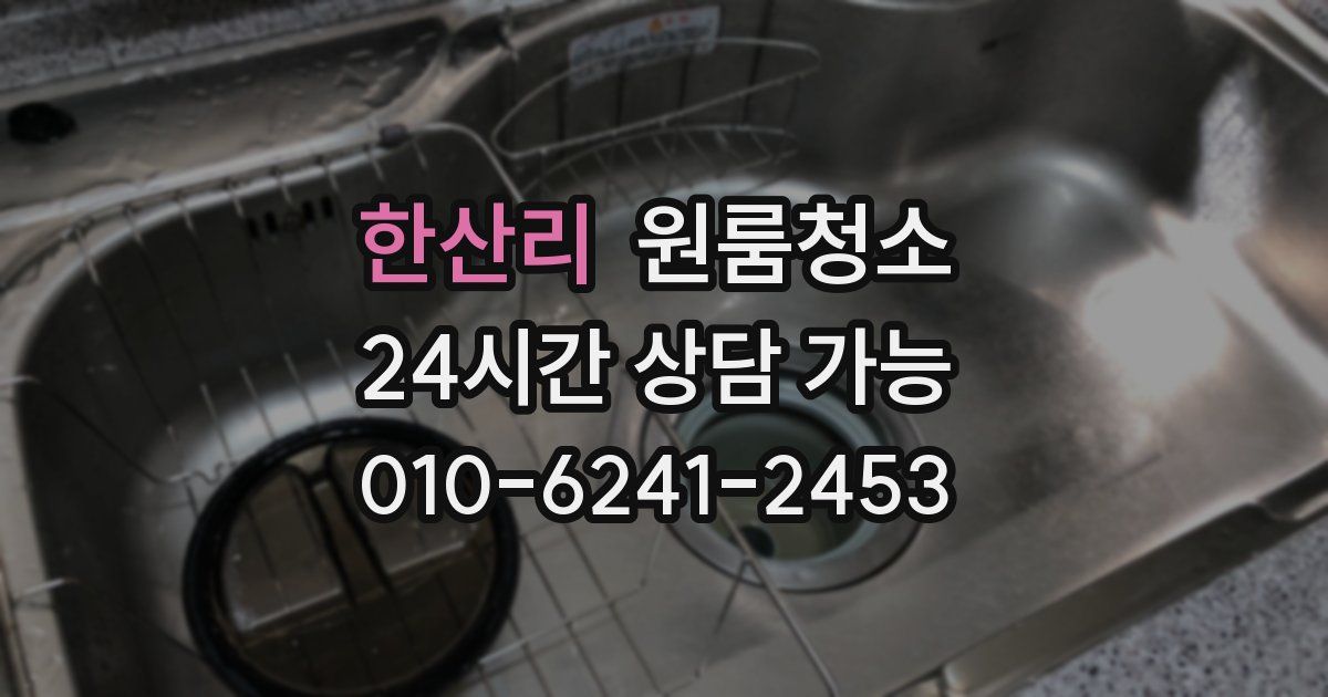 한산리 입주청소