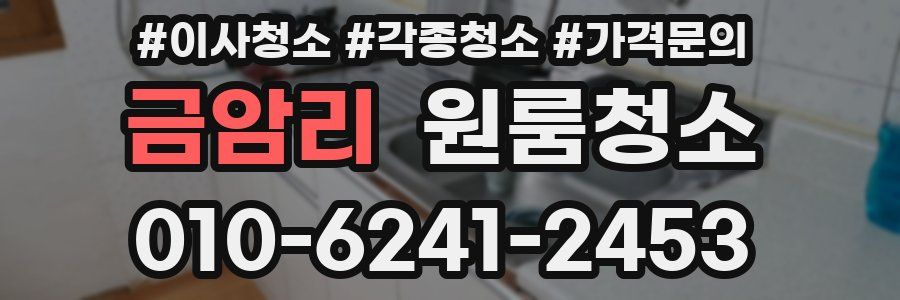 금암리 이사청소