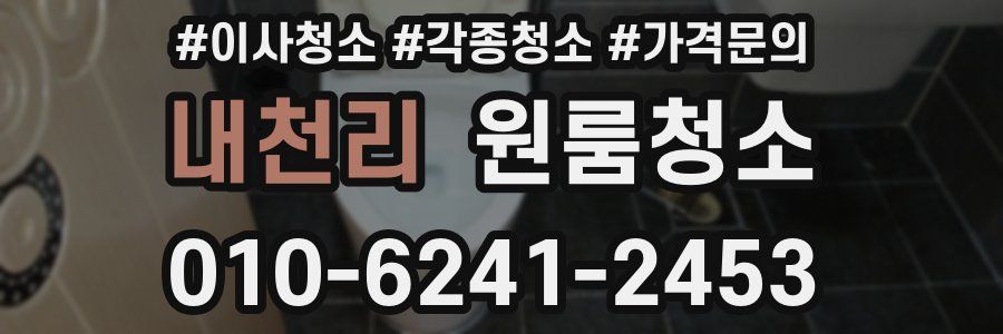 내천리 이사청소
