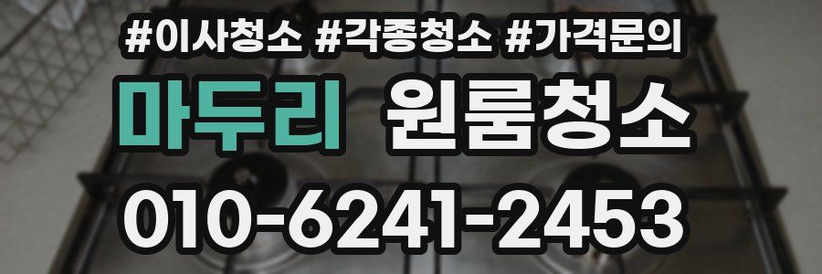 마두리 이사청소