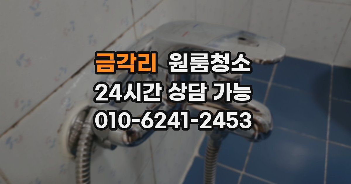 금각리 입주청소