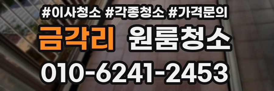 금각리 이사청소