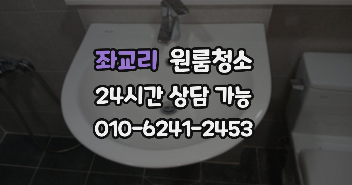 좌교리 입주청소