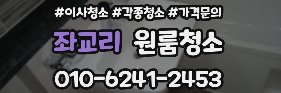 좌교리 이사청소
