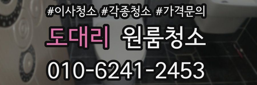 도대리 이사청소