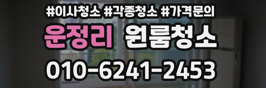 운정리 이사청소