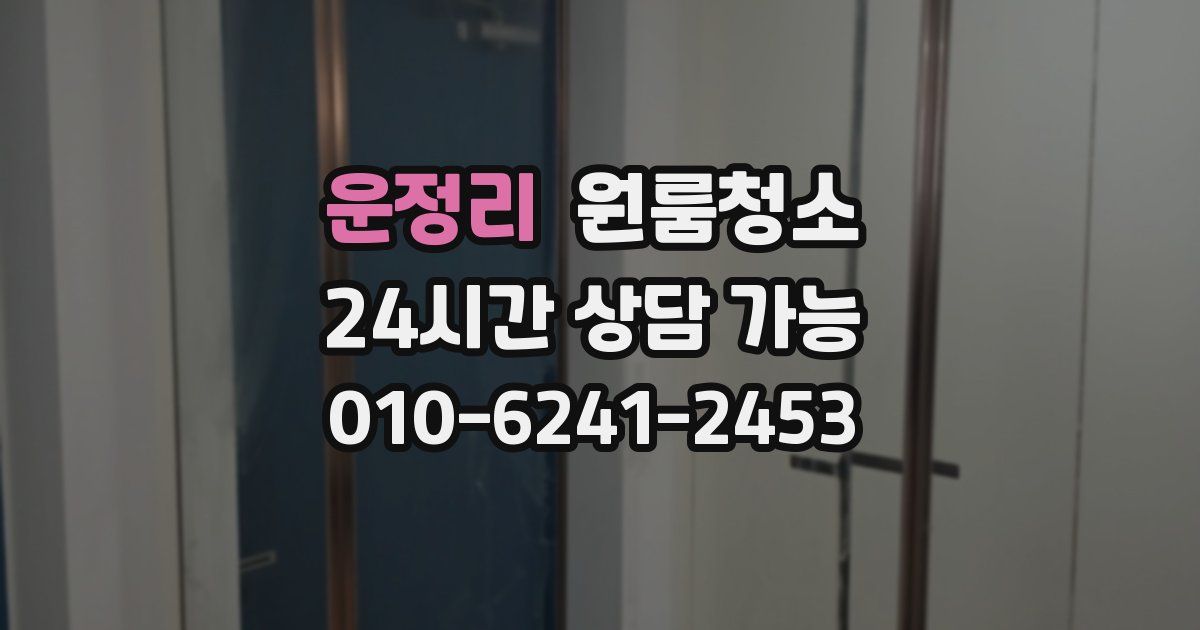 운정리 입주청소