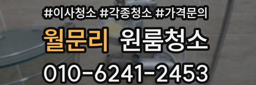 월문리 이사청소