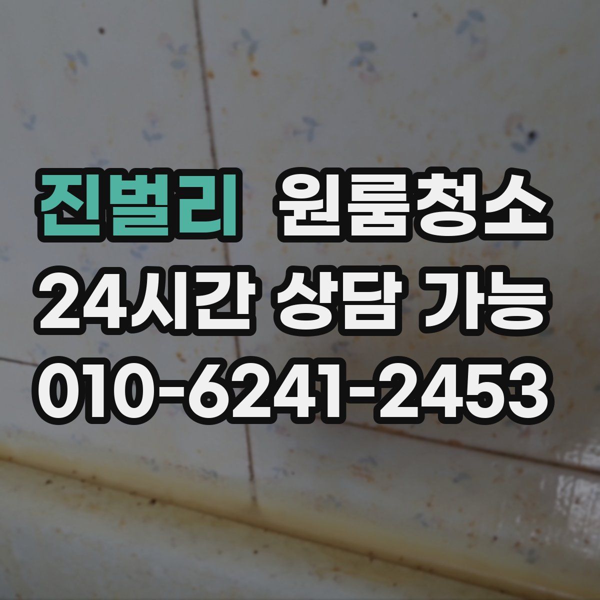 진벌리 원룸청소