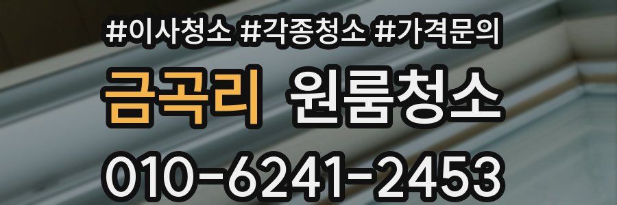 금곡리 이사청소