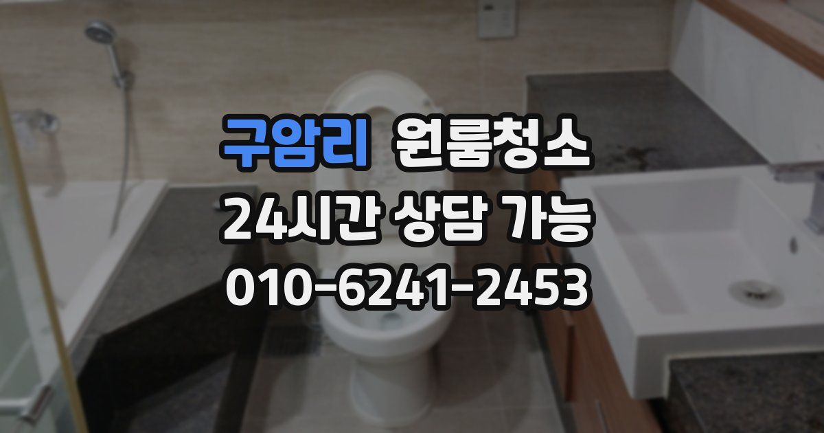 구암리 입주청소