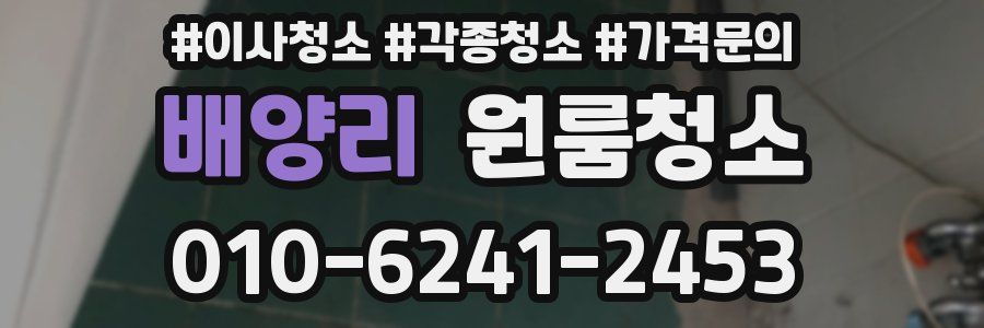 배양리 이사청소