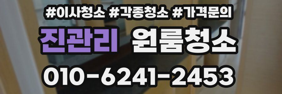 진관리 이사청소