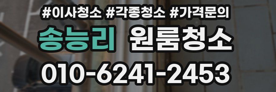 송능리 이사청소