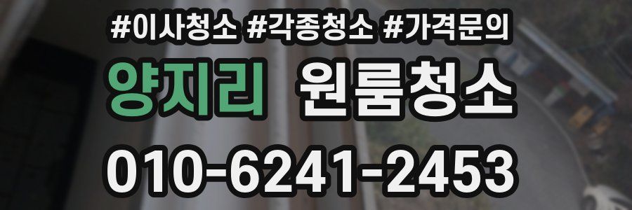 양지리 이사청소