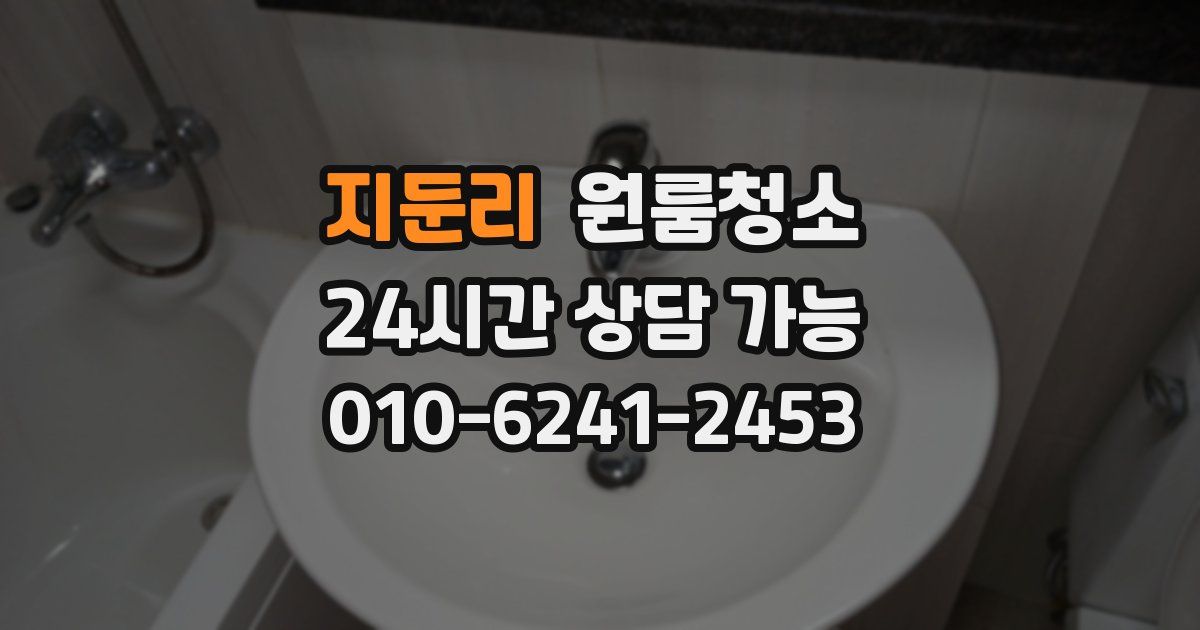 지둔리 입주청소