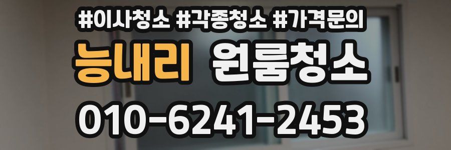 능내리 이사청소