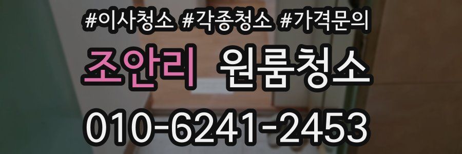 조안리 이사청소