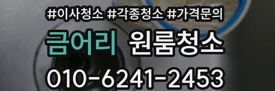 금어리 이사청소