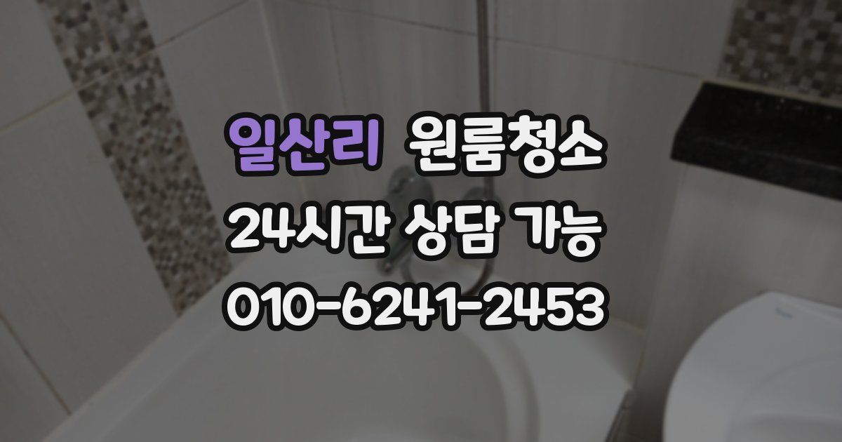 일산리 입주청소