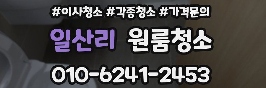 일산리 이사청소