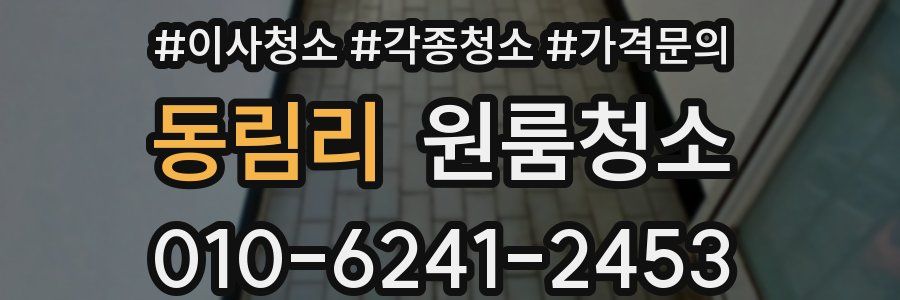 동림리 이사청소