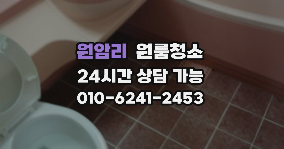 원암리 입주청소