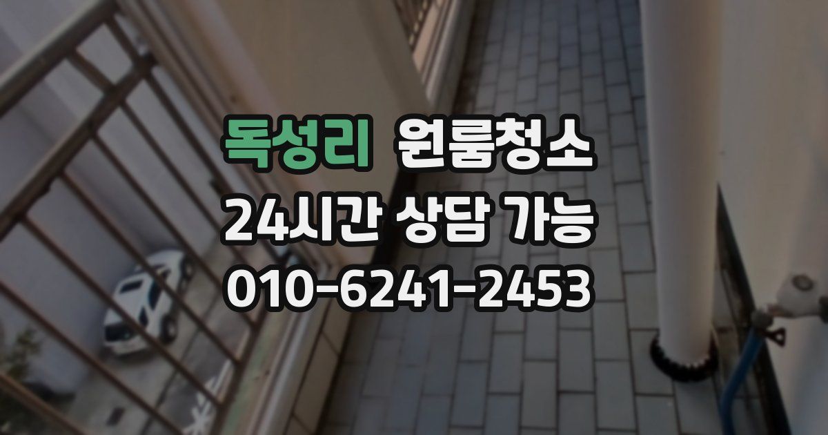 독성리 입주청소