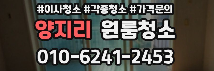 양지리 이사청소