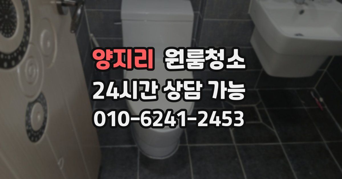 양지리 입주청소