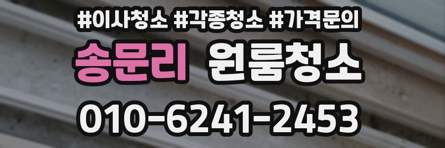 송문리 이사청소