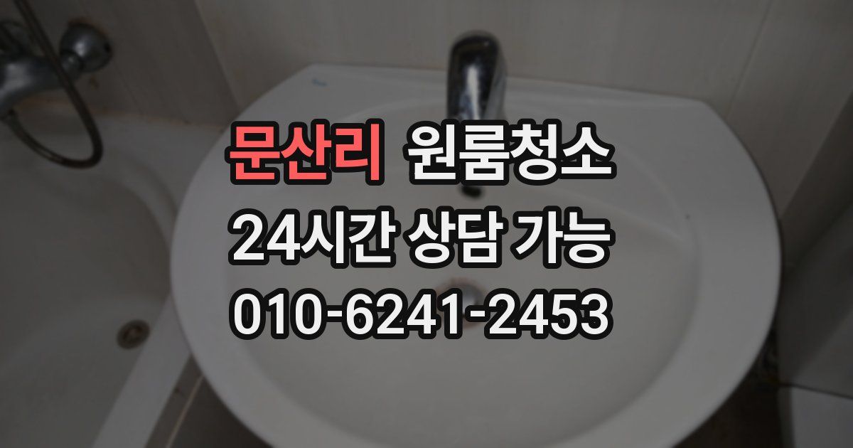 문산리 입주청소