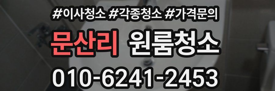 문산리 이사청소
