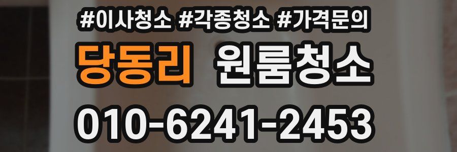 당동리 이사청소
