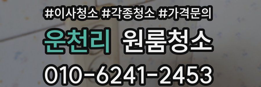 운천리 이사청소