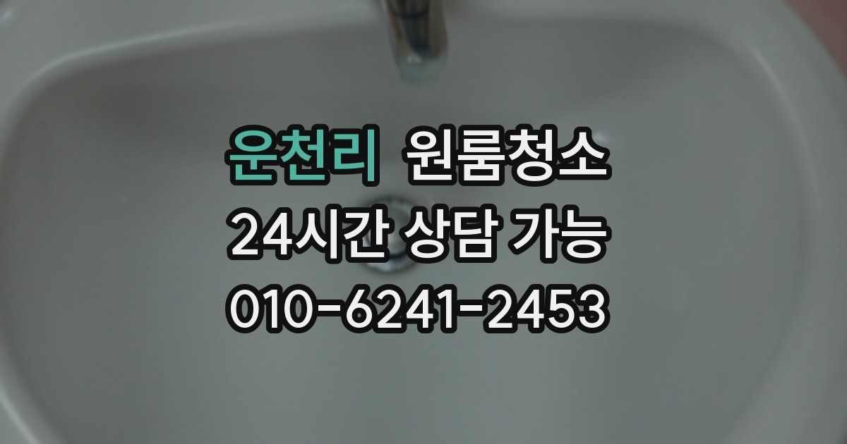 운천리 입주청소