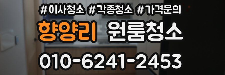 향양리 이사청소